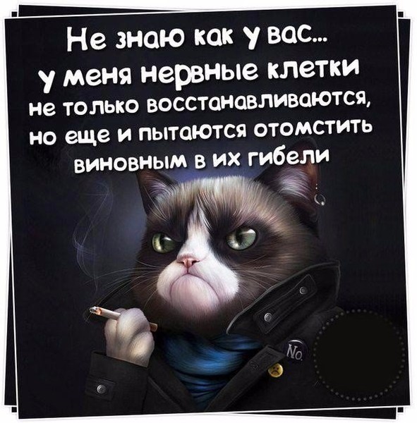 Песни со взрывным припевом