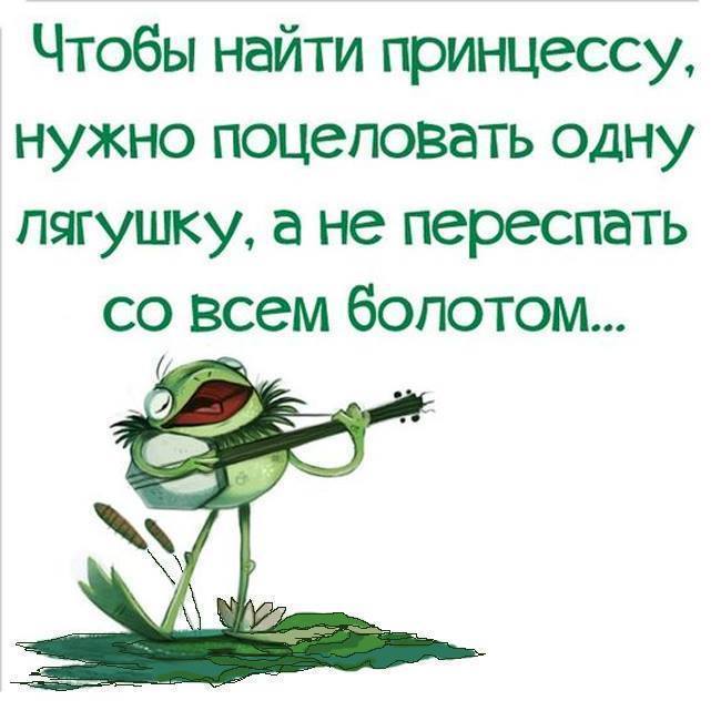 Приободрился. Афоризмы про лягушек. Смешные фразы про лягушек. Смешные высказывания о жизни для поднятия. Цитаты про жабу.